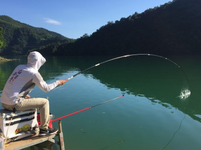 钓鱼到底什么最重要?