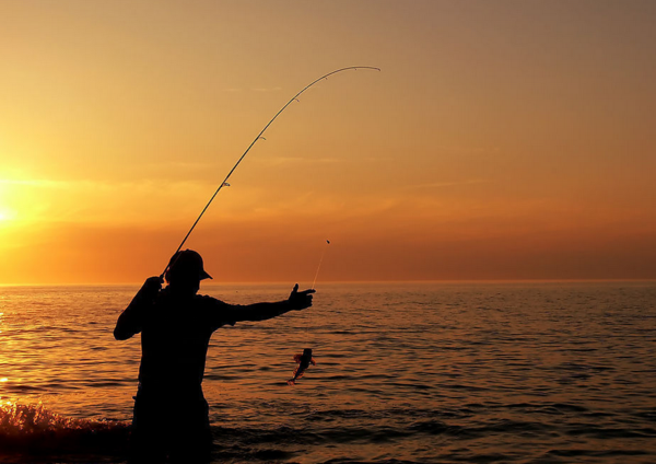 养窝也是有些注意事项-萍乡钓鱼