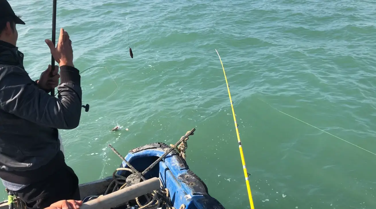 钓鱼有哪些要点？钓鱼人必须掌握的四大要点-萍乡钓鱼